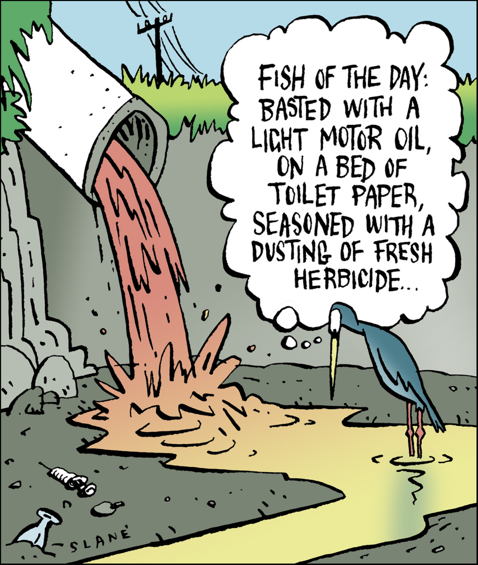 Cafe Sewer