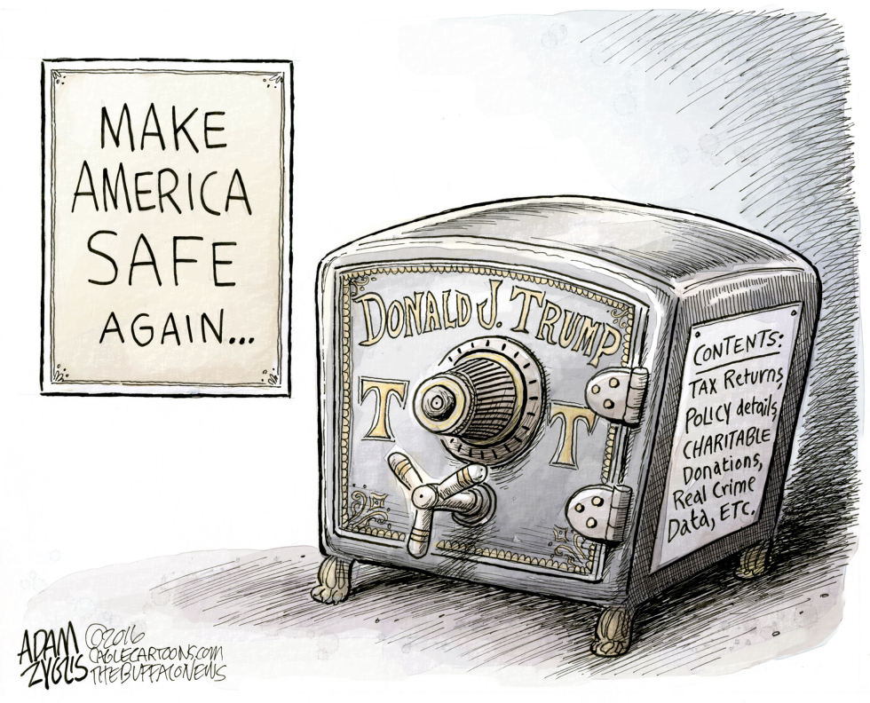 Make America Safe Again COLOR