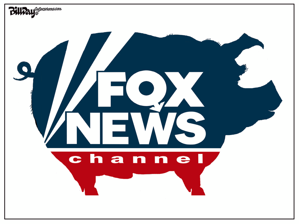 FOX PIG color