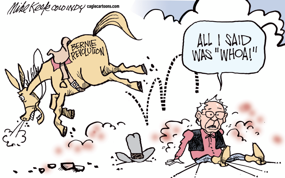 Bernie Revolution COLOR