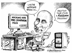 DNC AND RUSSIA HACKING by Dave Granlund