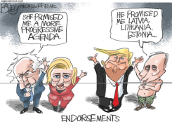ENDORSEMENTS  by Pat Bagley