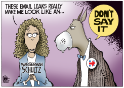 DEBBIE WASSERMAN SCHULTZ,  by Randy Bish