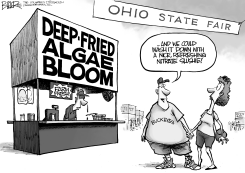 LOCAL OH - FAIR FOOD by Nate Beeler