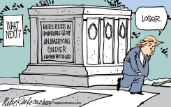 TRUMP AND VETS  by Mike Keefe