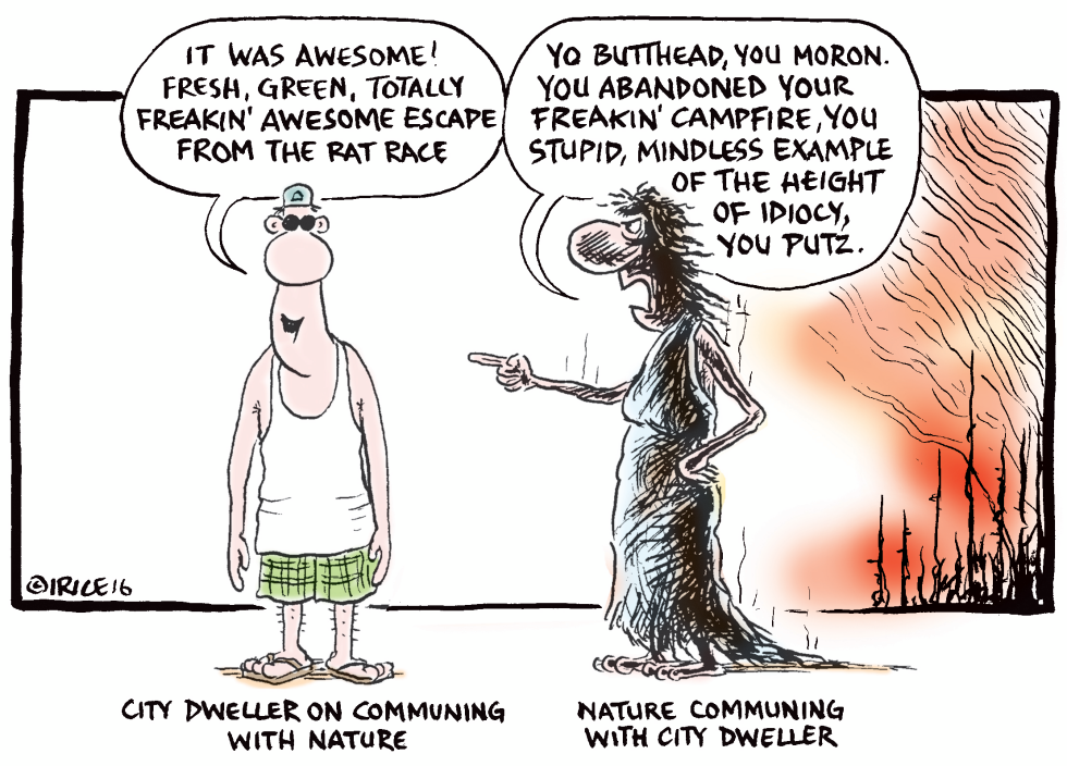 Stupid Mindless Campers