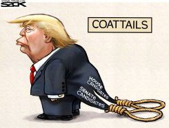 TRUMP TAIL  by Steve Sack