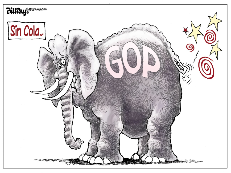 Sin Cola / COLOR