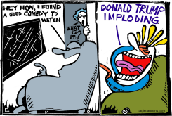 THE TRUMP SHOW  by Randall Enos
