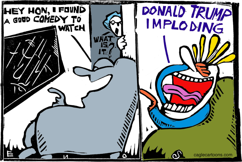 The Trump Show COLOR