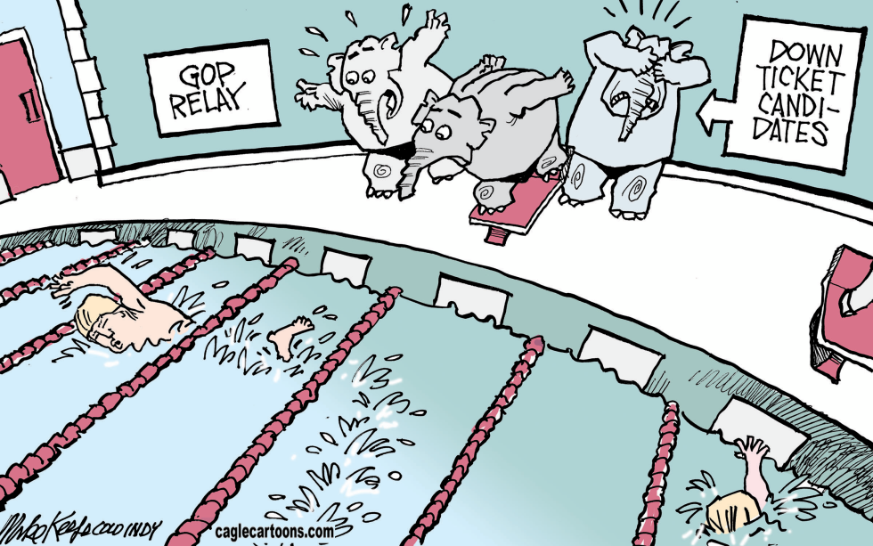 Team Swimmer COLOR