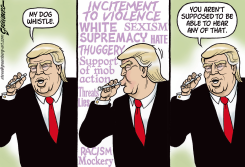 DOG WHISTLE by Steve Greenberg