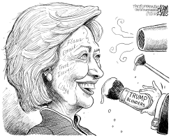 HILLARY'S FLAWS by Adam Zyglis