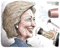 HILLARY'S FLAWS  by Adam Zyglis