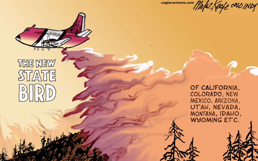 Plane Drops Fire Trail Labeled New State Bird Over Western States