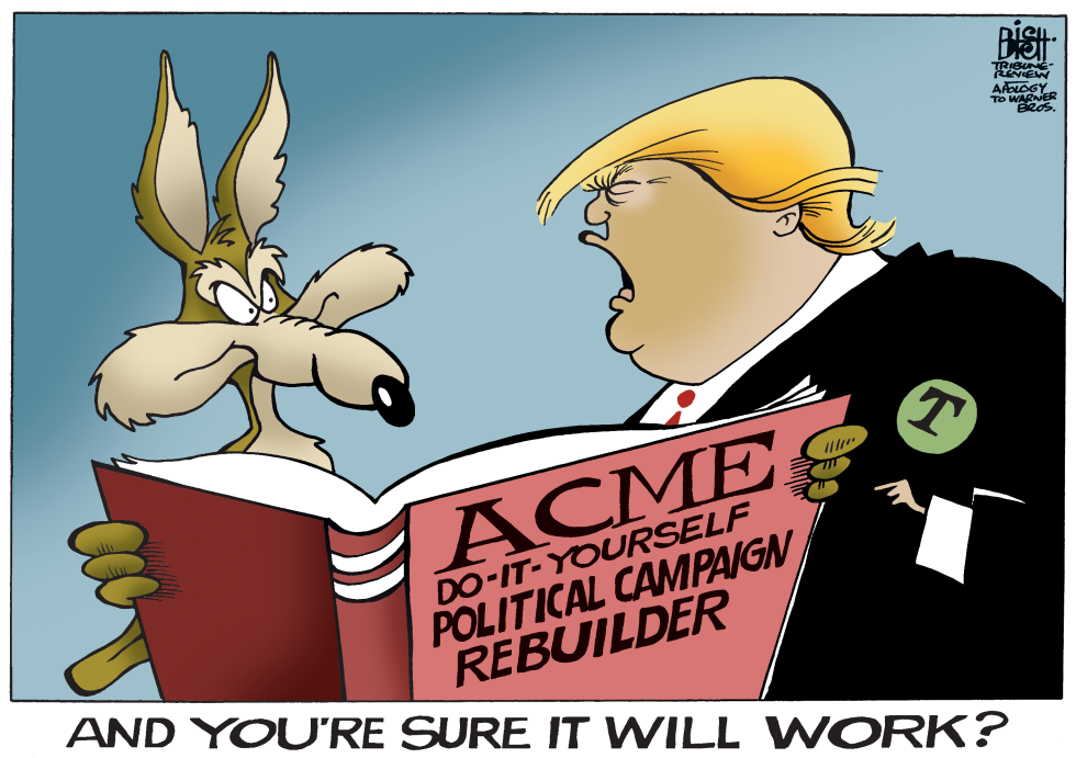 HELP FOR THE TRUMP CAMPAIGN, COLOR