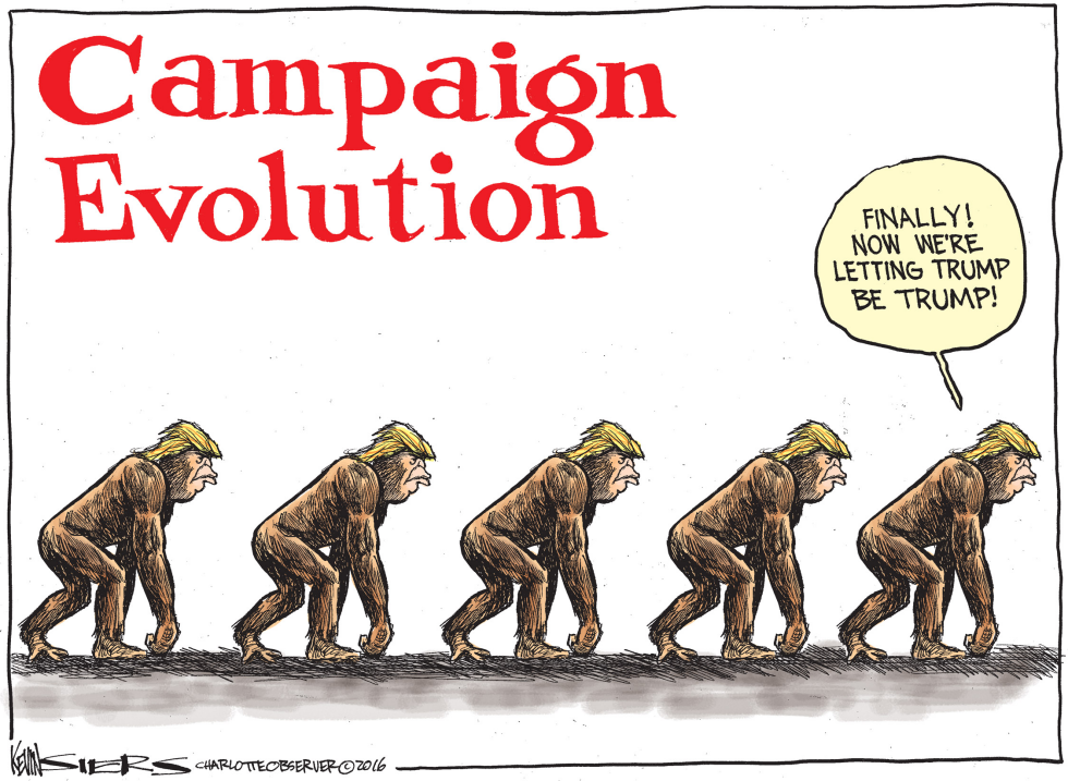 Campaign Evolution
