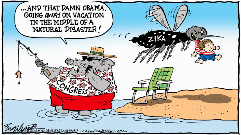 Congress On Vacation COLOR