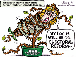 MAY STAYS by Steve Nease