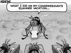 ZIKA SUMMER by Steve Sack
