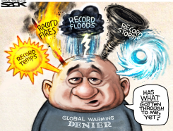 GLOBAL WARNING DENIER  by Steve Sack