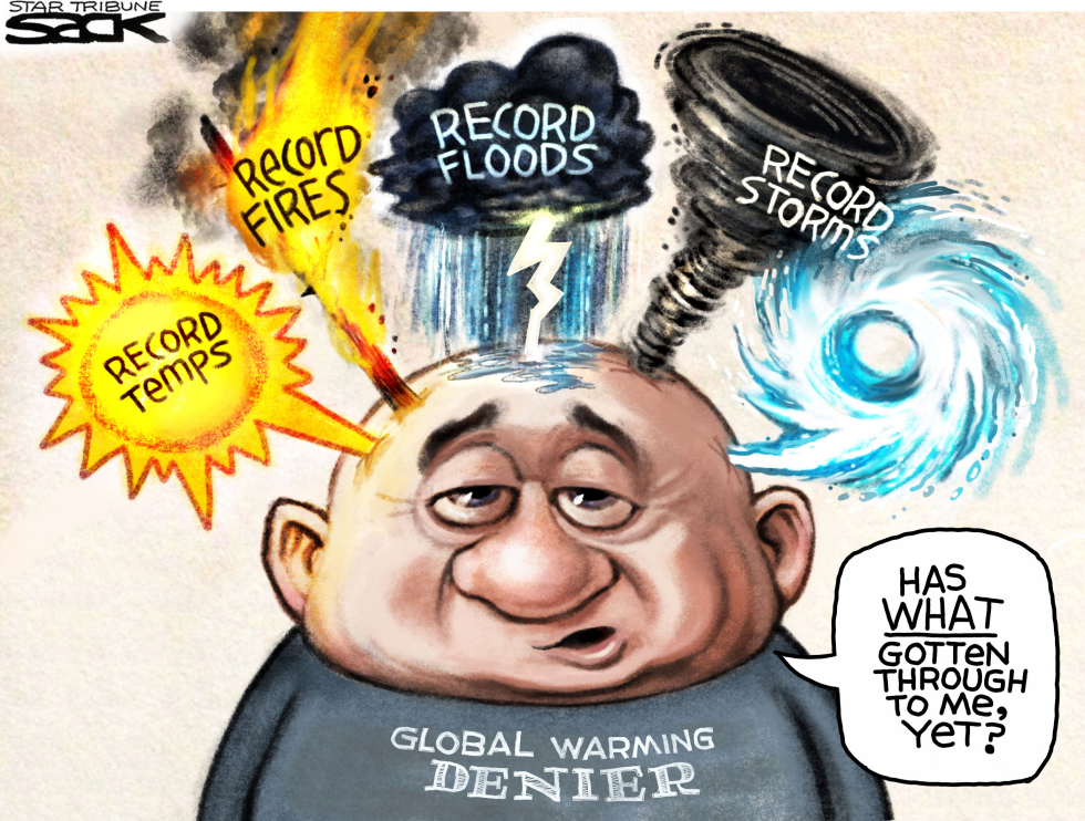  GLOBAL WARNING DENIER by Steve Sack