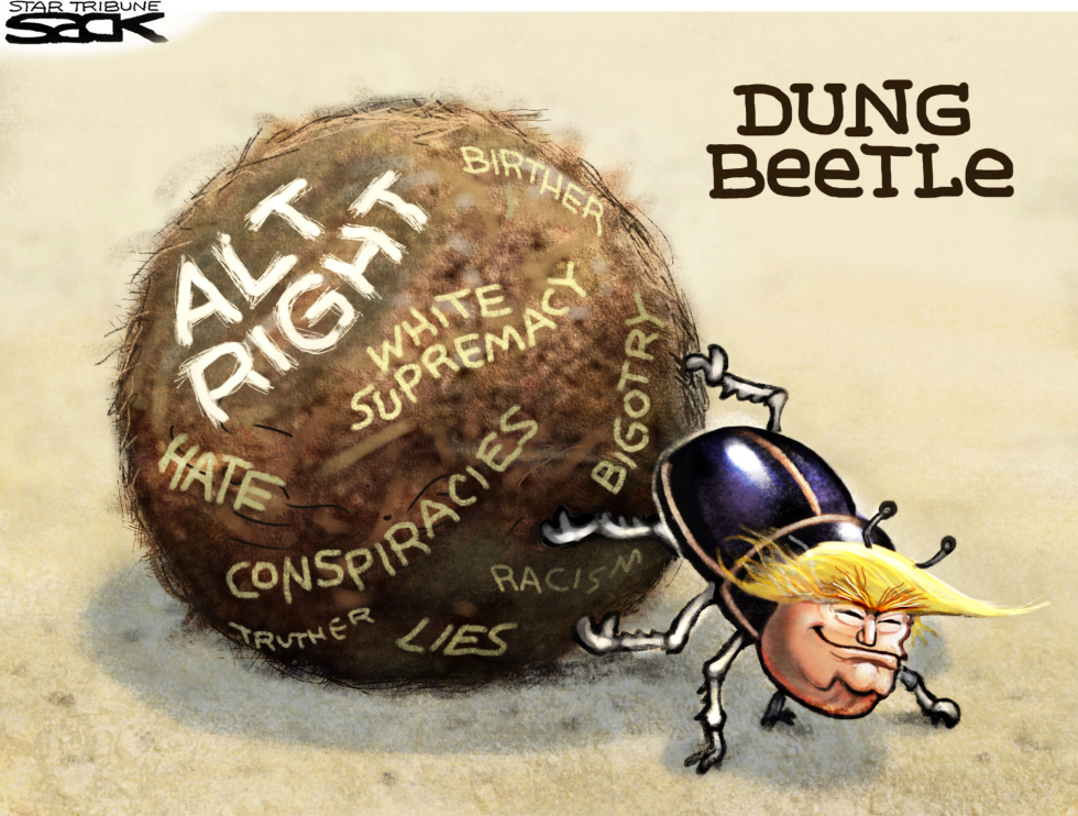  ALT RIGHT ALL WRONG by Steve Sack