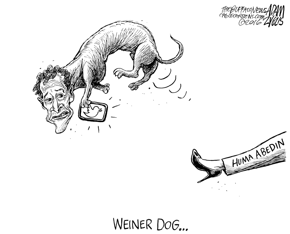 Weiner Dog Cartoons