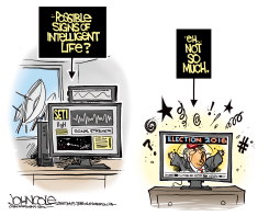 INTELLIGENT LIFE  by John Cole