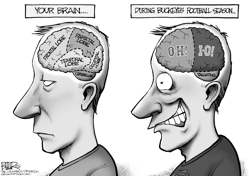 LOCAL OH - Buckeye Brain