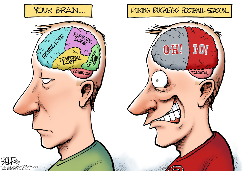 LOCAL OH - Buckeye Brain COLOR