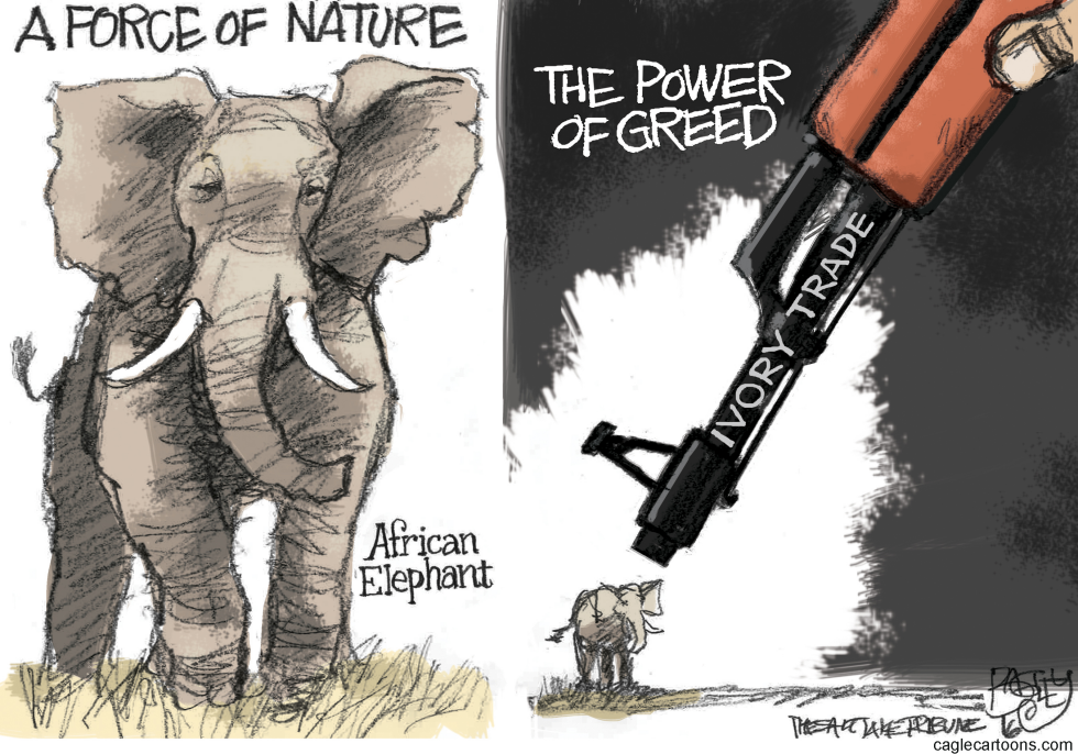  IVORY TRADE by Pat Bagley