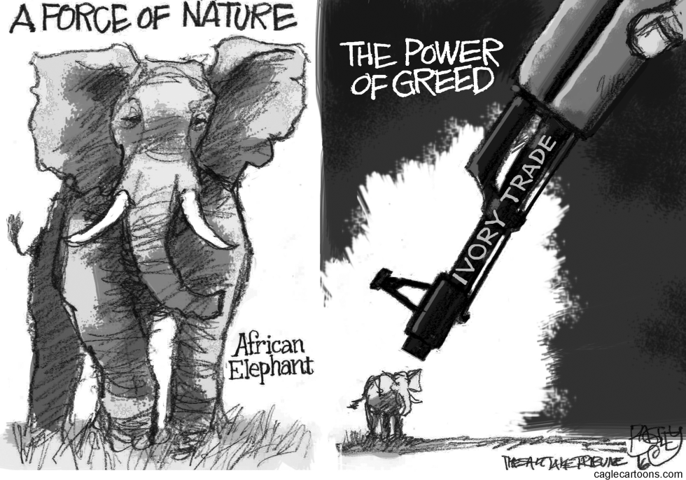 Ivory Trade
