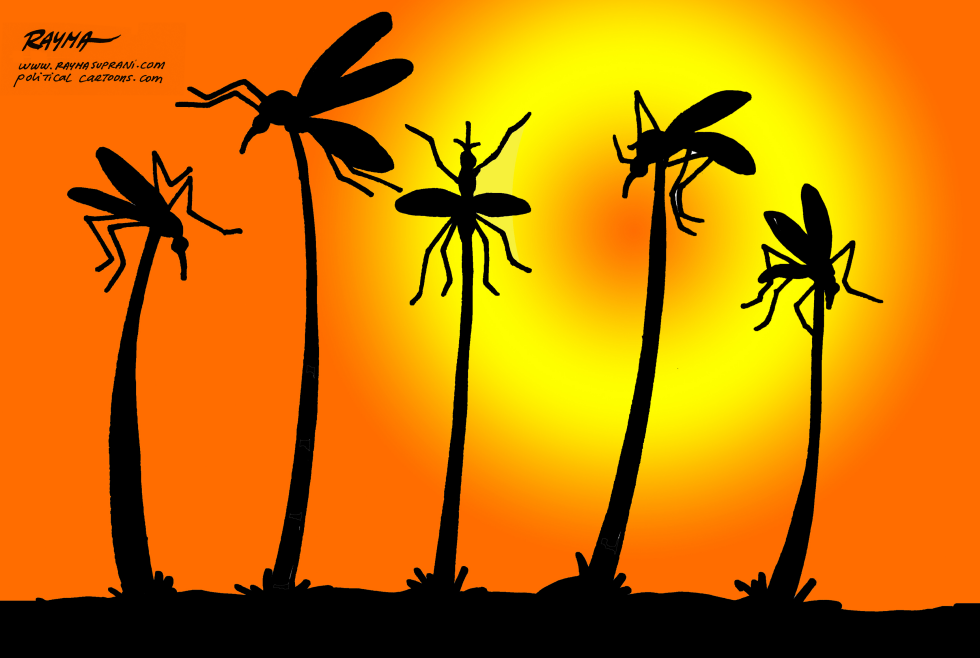 ZIKA in Miami COLOR