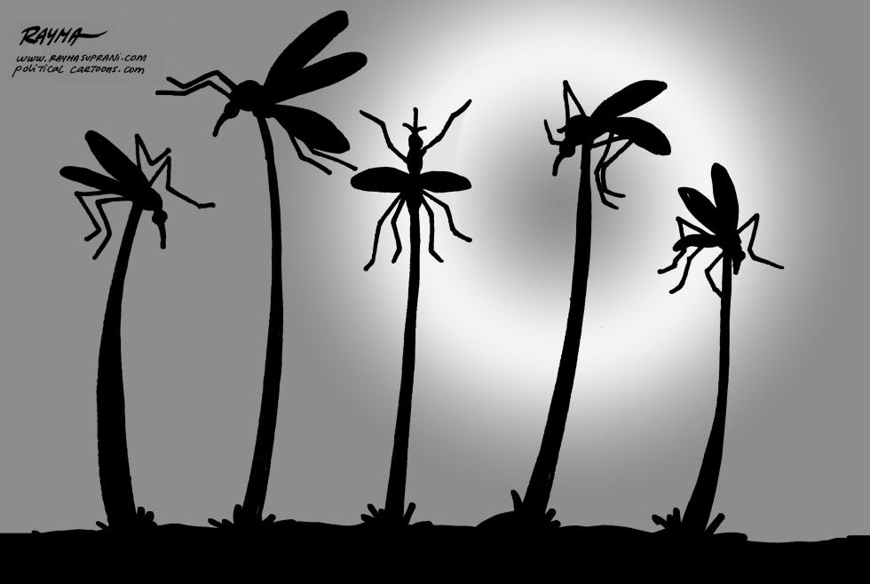 ZIKA in Miami BW