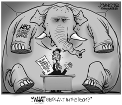 LOCAL NC  MCCRORY AND HB2 AD BW by John Cole