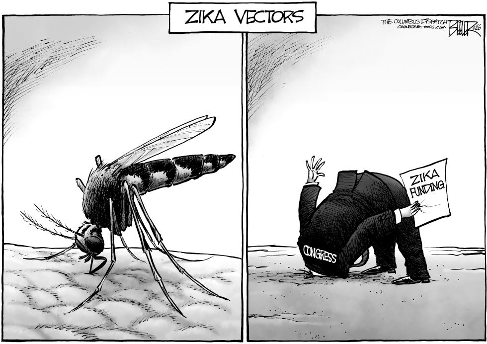 Zika Politics