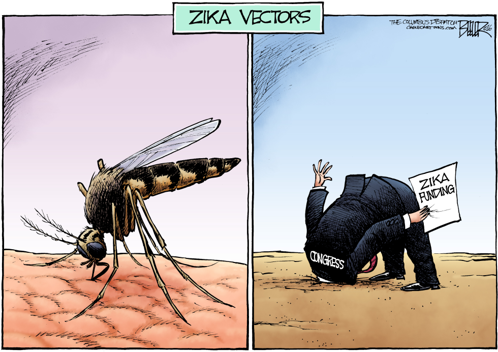 Zika Politics COLOR