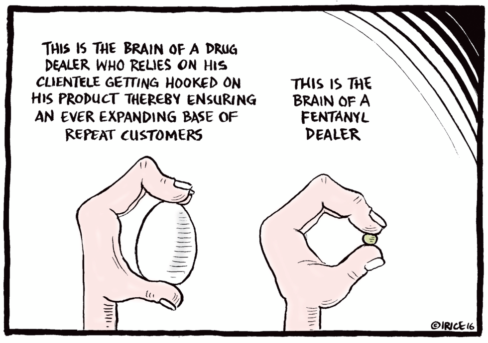 Brains of Drug Dealers