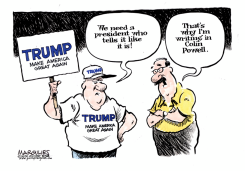 COLIN POWELL HACKED EMAILS  by Jimmy Margulies