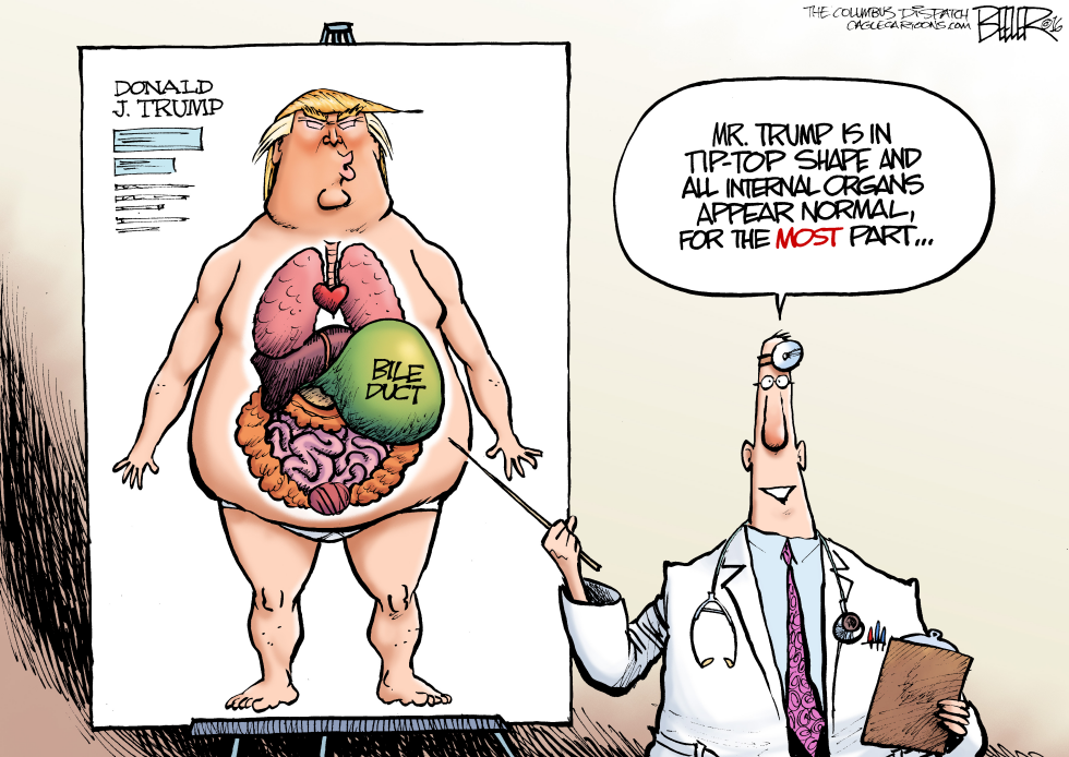 Donald Duct COLOR