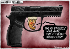 DANGEROUS TRIGGER by Brian Adcock