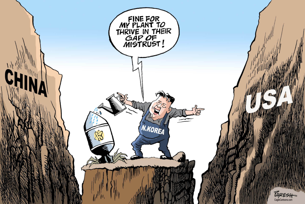 N.Korean N-plant