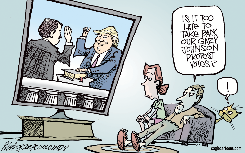 Protest Vote COLOR
