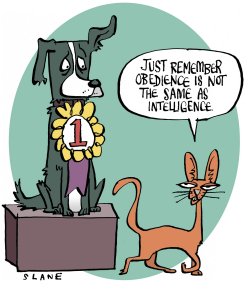 DOGS THE SMARTEST PETS by Chris Slane
