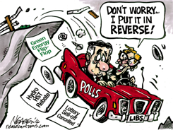 POLL REVERSAL by Steve Nease