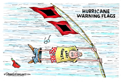 HURRICANES AND WARNING FLAGS by Dave Granlund