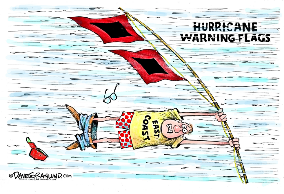 Hurricanes and warning flags COLOR