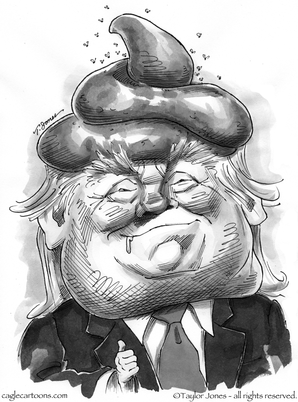  DONALD TRUMP by Taylor Jones