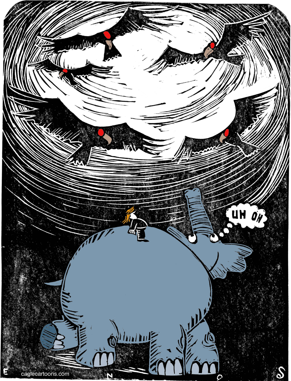 Trump in Trouble COLOR